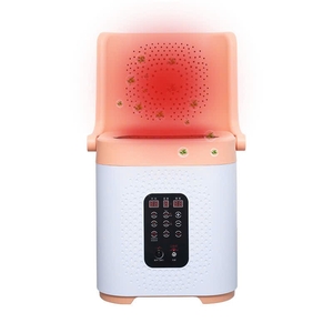 Máy Điện Từ Xông Ngải Cứu